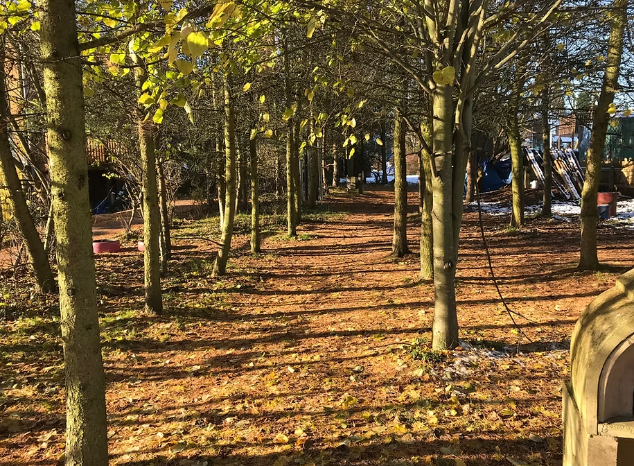 Sycamore Adventure Centre